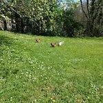 Opale - Le Triangle D'emeraude Nyaraló Bertric-Burée