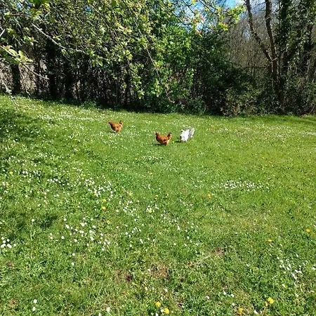 Opale - Le Triangle D'emeraude Nyaraló Bertric-Burée