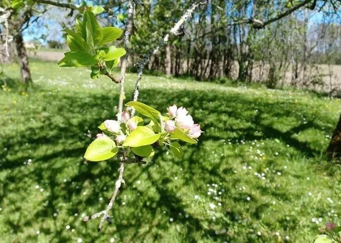 Opale - Le Triangle D'emeraude Holiday home Bertric-Buree