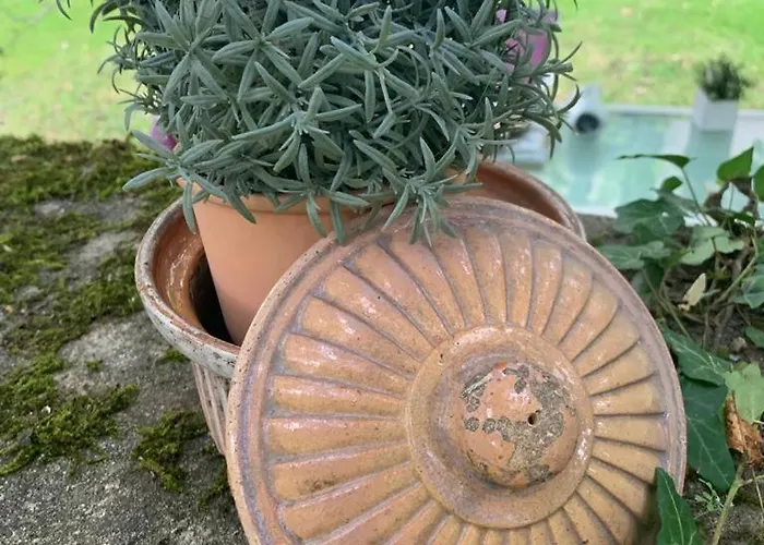 Opale - Le Triangle D'emeraude * Bertric-Buree