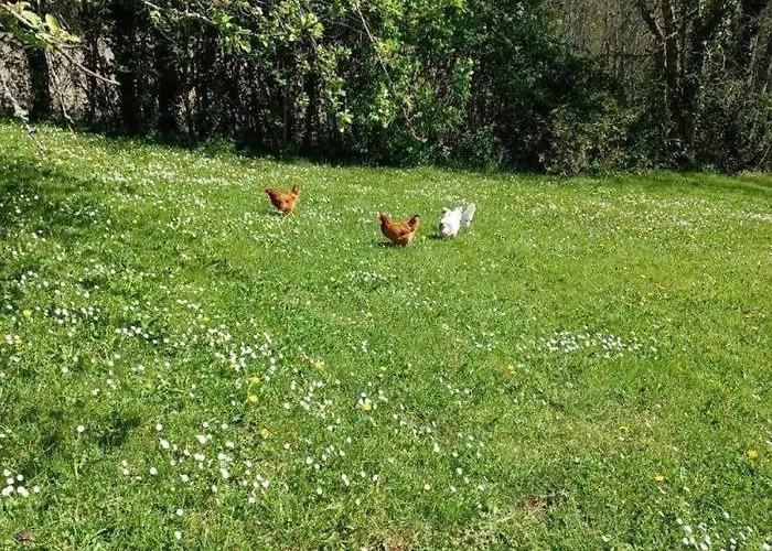 Opale - Le Triangle D'emeraude Holiday home Bertric-Buree